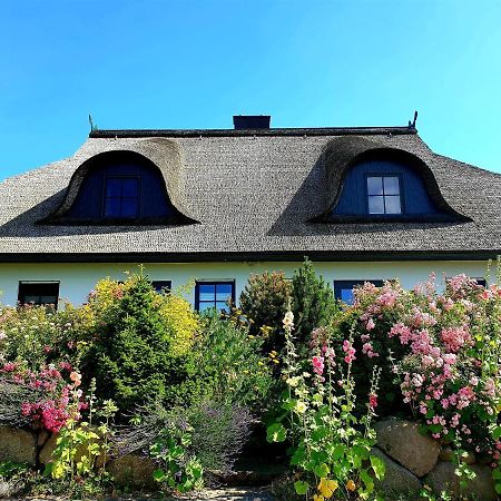 Villa Insel Landhaus Bernstein Gager Exterior foto