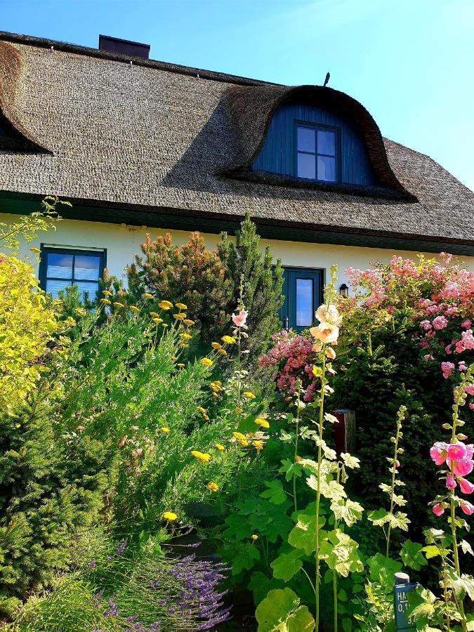 Villa Insel Landhaus Bernstein Gager Exterior foto